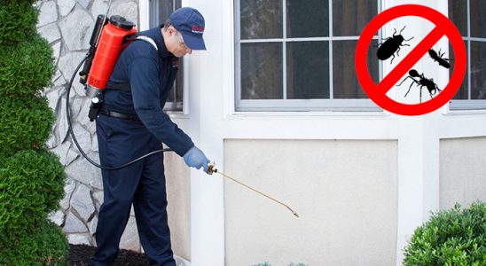 Pütürge Dezenfeksiyon böcek ilaçlama ve haşere kontrolü — ilaclama-tr.com